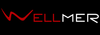 Дизайн-радиаторы WELLMER Дизайн-радиаторы WELLMER